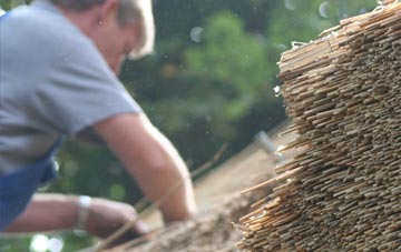 professional Dothan thatchers